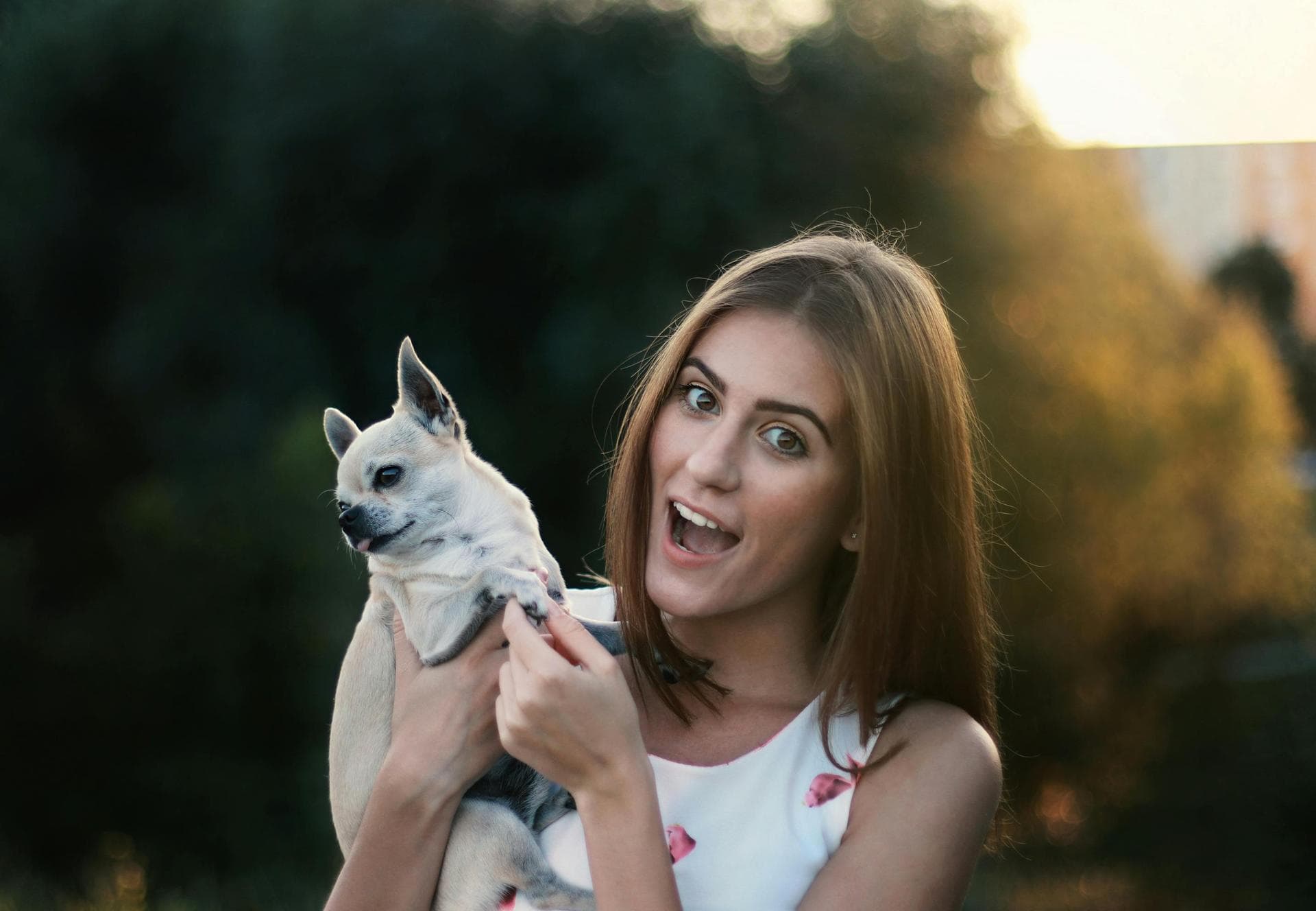 Follow-up Vet Appointment Prices in Portsmouth