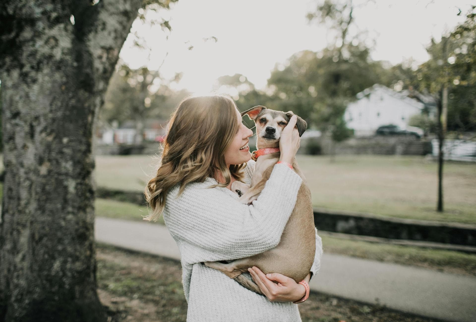 Annual Vaccination With Kennel Cough Prices in Portsmouth